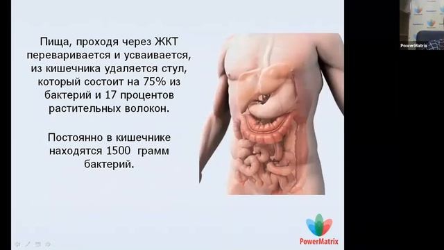Глистные инвазии, очистка организма при помощи Аквабиотиков компании PowerMatrix. Встреча 18.08.21