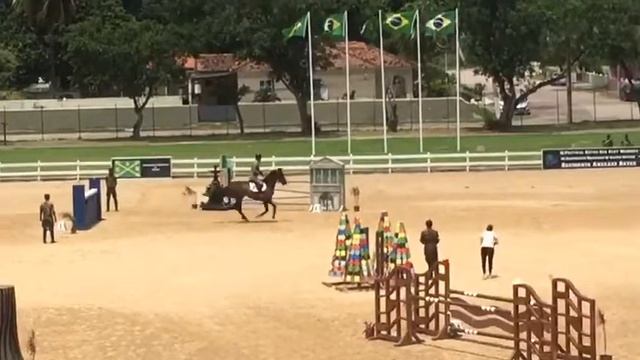 Cláudio Goggia E Bernhard