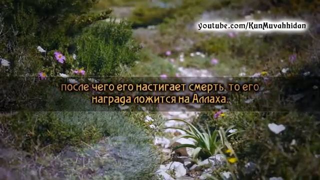 Мухаммад аль Люхайдан  Сура 4 «Женщины» 95 103