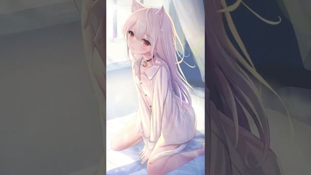 โลลิหูแมว