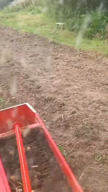 уборка картошки