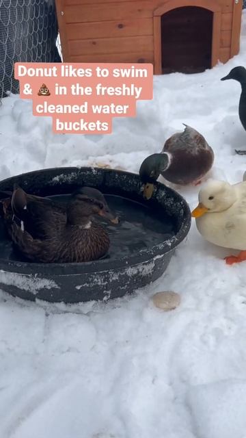 Add6eece78c3a207102fea379d9552c7