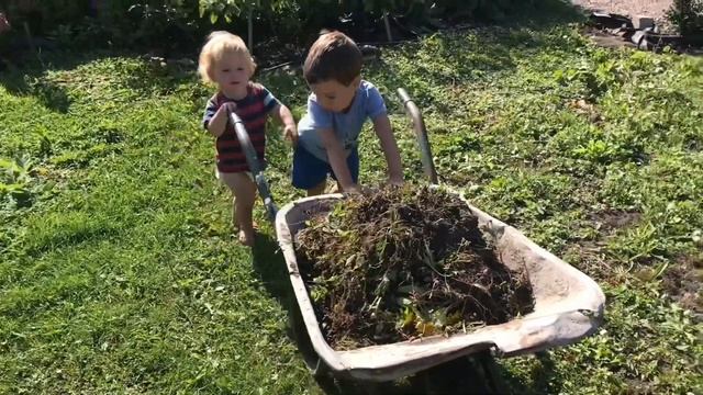 C7e5586bbe87c1b147ce2826d3c0d807