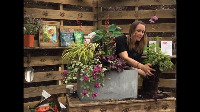 Shade Perennials With Stacey