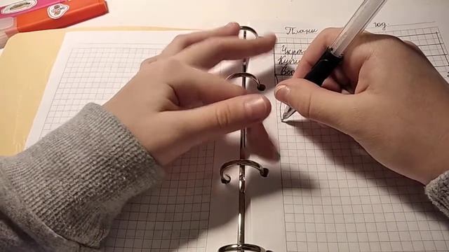 как оформить ежедневник/на новый год 🎄/оля пинк___unicorn