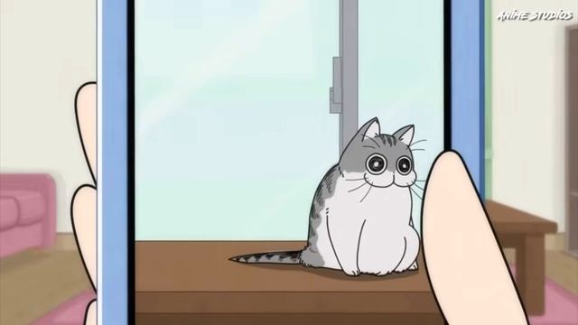 E2c6c334b9265fc761cae0991580d40d