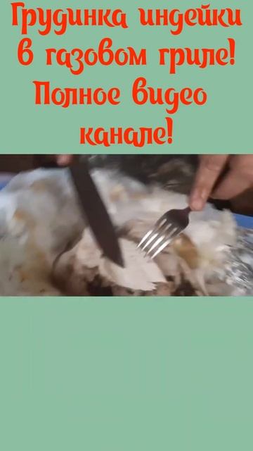 Грудка индейки в газовом гриле #shorts