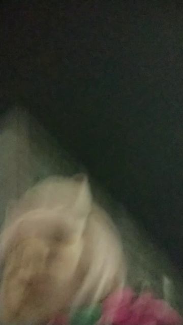 перед танцами