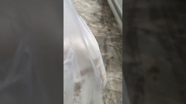 #MiniVlog Barish Ma Kia Nashta Or Aj Itna Dino K Bad MILA Ma Is Sa 🚗 #viralshort #carlover