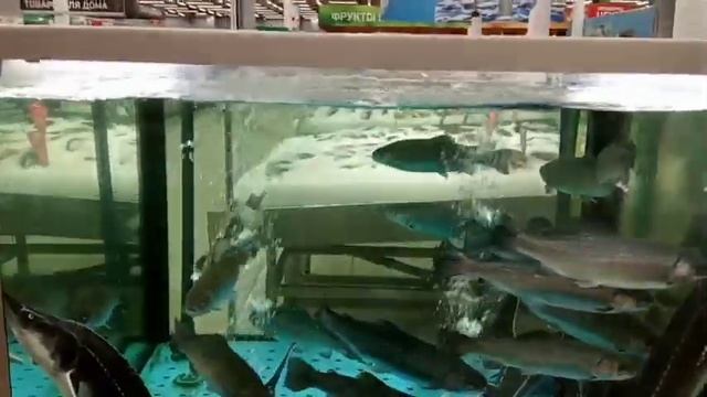 Смотрю ЦЕНЫ в МОСКОВСКОМ гипермаркете. Продукты и другое