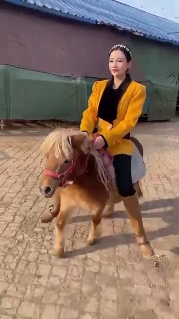 Ponyriding G