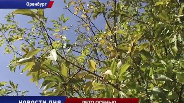 ЛЕТО ОСЕНЬЮ