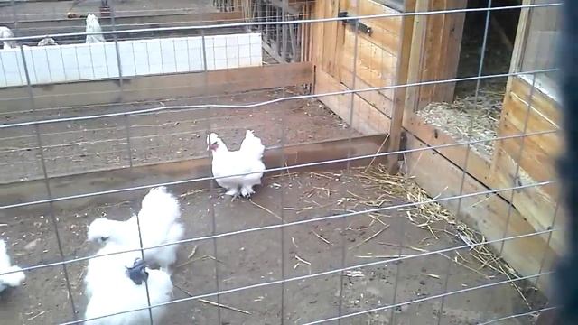 870a984d178ccf688495dc764d589d6a