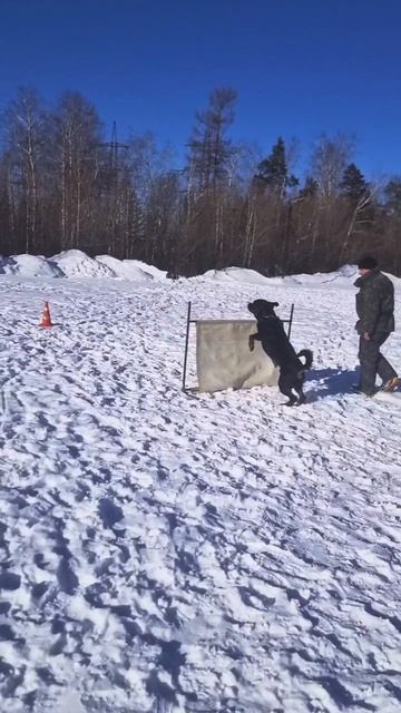 D3d7b88a9b09ce314a605595d841d22c