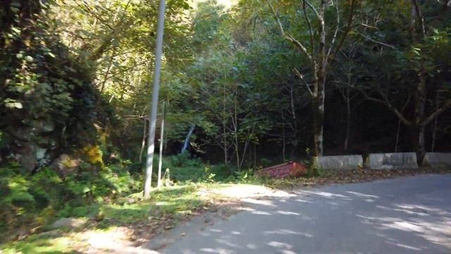 Kintrishi National Park: A 4K Autumn Escape