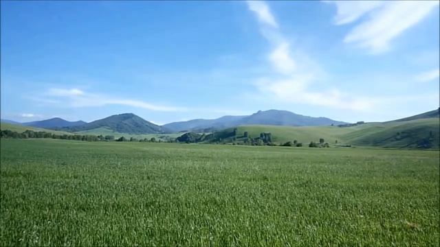 На Алтай 2013  Серия 8