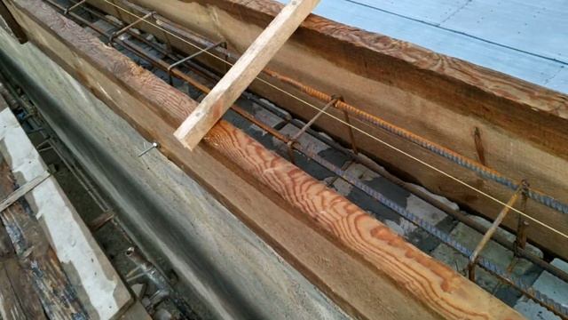 52870025f502551e25273ce802da4823