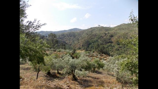 Стихотворения.  Римская дорога