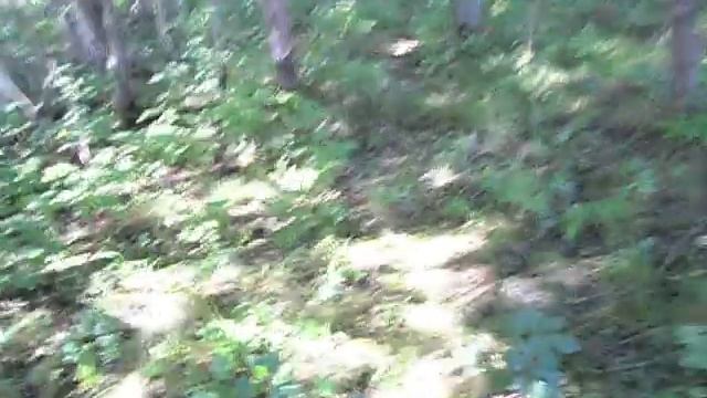 Август.40 км от города.Наедине с тишиной.