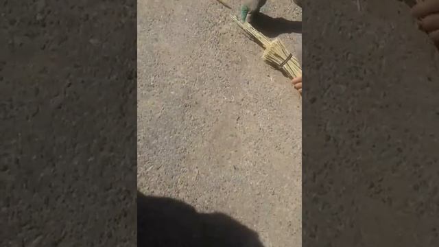 Уйгурский метло