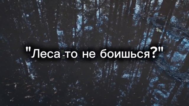 Мишкина  война