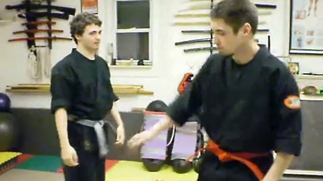 Ninjutsu - Sakura Bujinkan Dojo -This Is What We Do : Cresent Kick