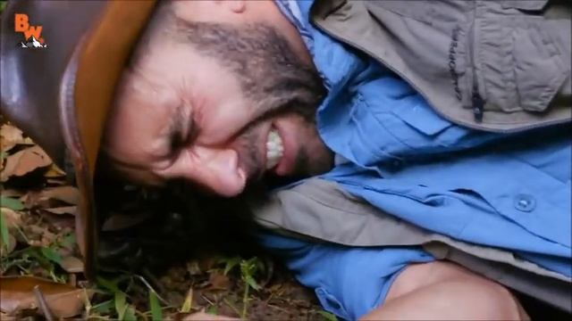 Coyote Peterson is stung and turned into a zombie
