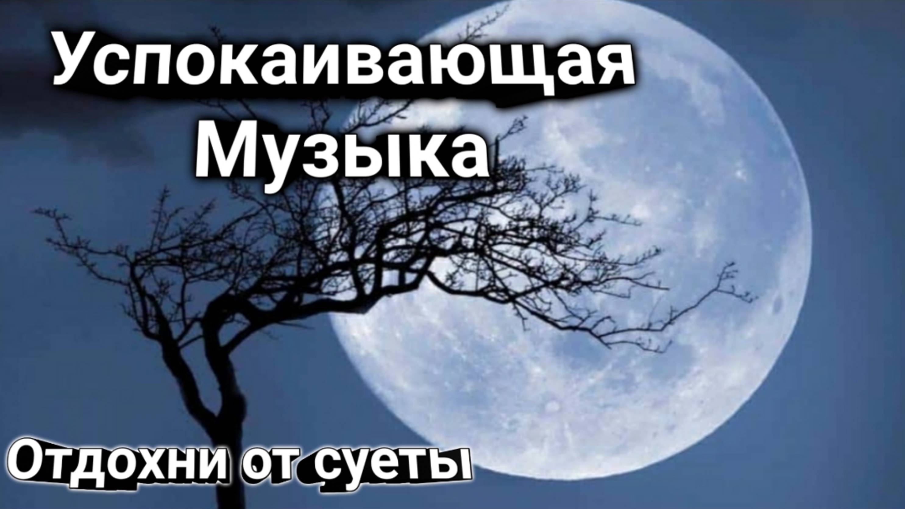 5a0a4cf02015d50a712d9447ebea8787