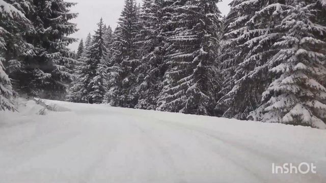 Засніжені Карпати!!! Дорога Сергії -Путила!!!