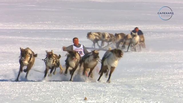 День оленевода