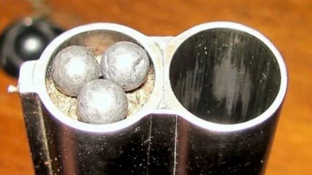 Картечь или пуля? - что выбрать при охоте на копытных