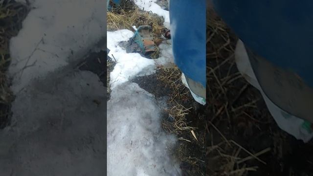 виктор кузнецов