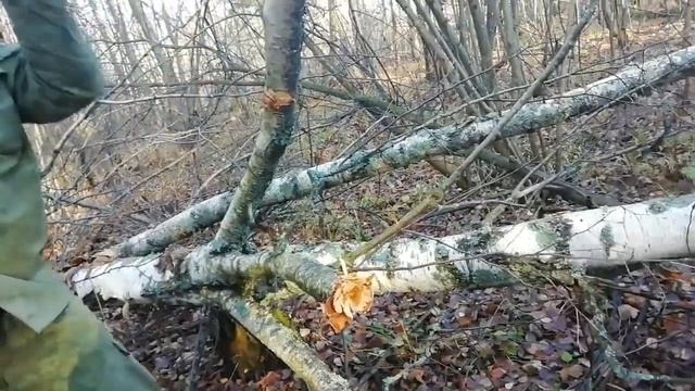 1fdb2743699fc14db58aaab319730bc1