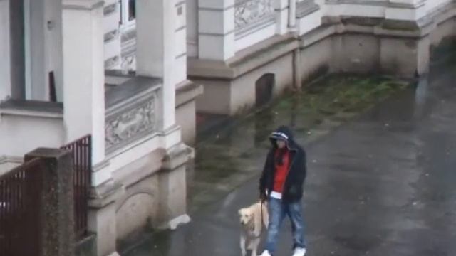 Taekwondo  Вадим И. Филимонов