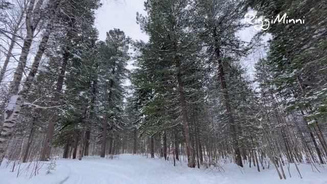 Запеченное филе индейки с картошкой и ветками ели и сосны. Roast With Spruce Branches
