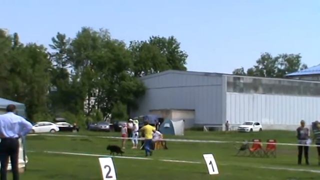 844cca436ffb65d0375110f6305c7506