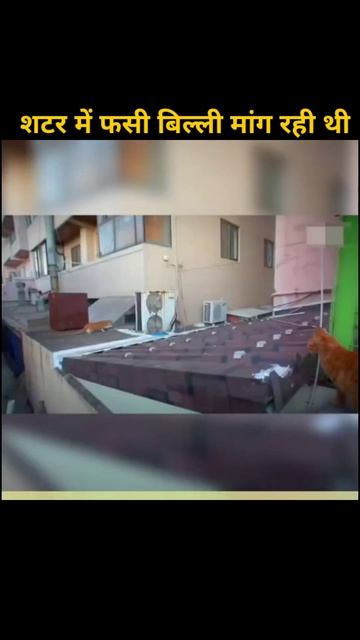 5afe13dec70b58cf48935f1616f51342