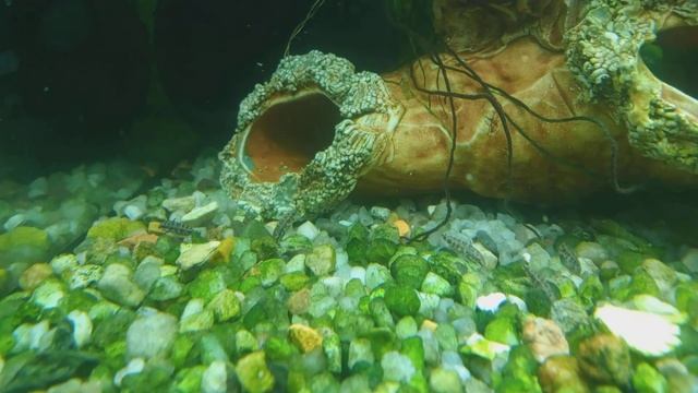 6982fd5589d269d725bc0bd664b64127