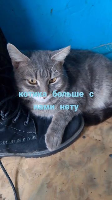 47f21fa1c689990f7cd344fcaadc5638