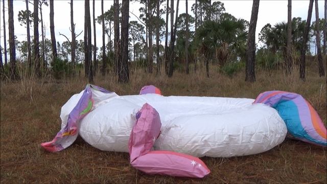 Mega Pegasus Inflatable Island From Intex