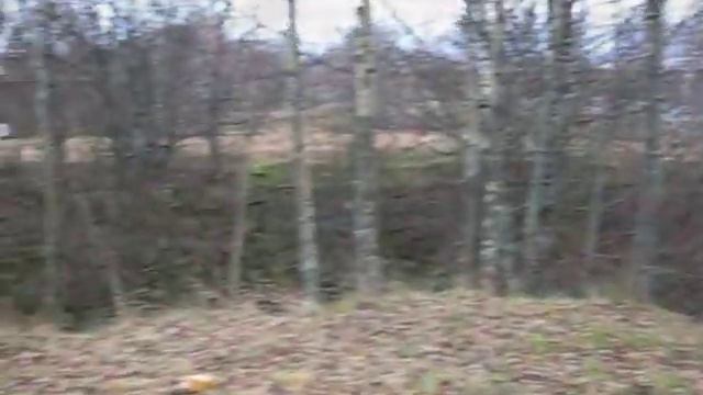 на грани зимы 1, 2007