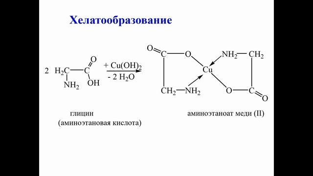 16. Аминокислоты