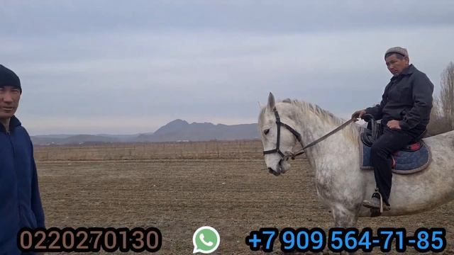 турна моюн ОРЛОВСКИЙ 👍11 марта 2022 г.