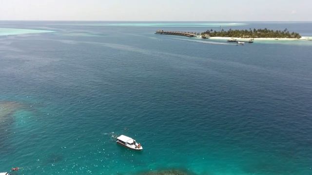 7ba4c447e0306c3d908309aa337de25d