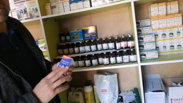 Куйларнинг касалликларга жавоб оламиз  доктор юсуф йокса лайк ва подписка
