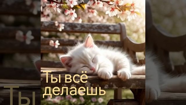 Ты всё делаешь правильно