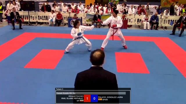 Tatami 5 - Karate1 PL Salzburg 2016 - Day 3