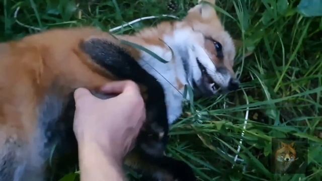 Cfc5a37273b11a30f9b65c8013ee82c7