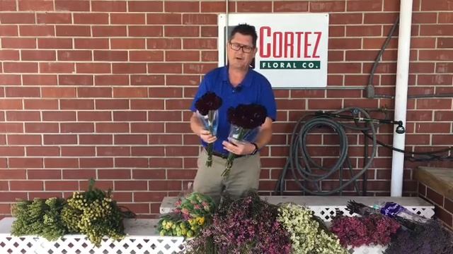 New & Fresh With Chris 3/21/18