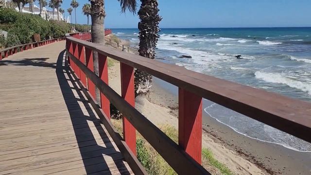 Лев, астрологический гороскоп на Август 2024г